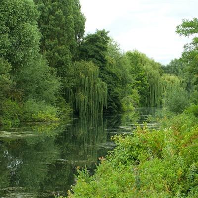 半岛bob综合登入